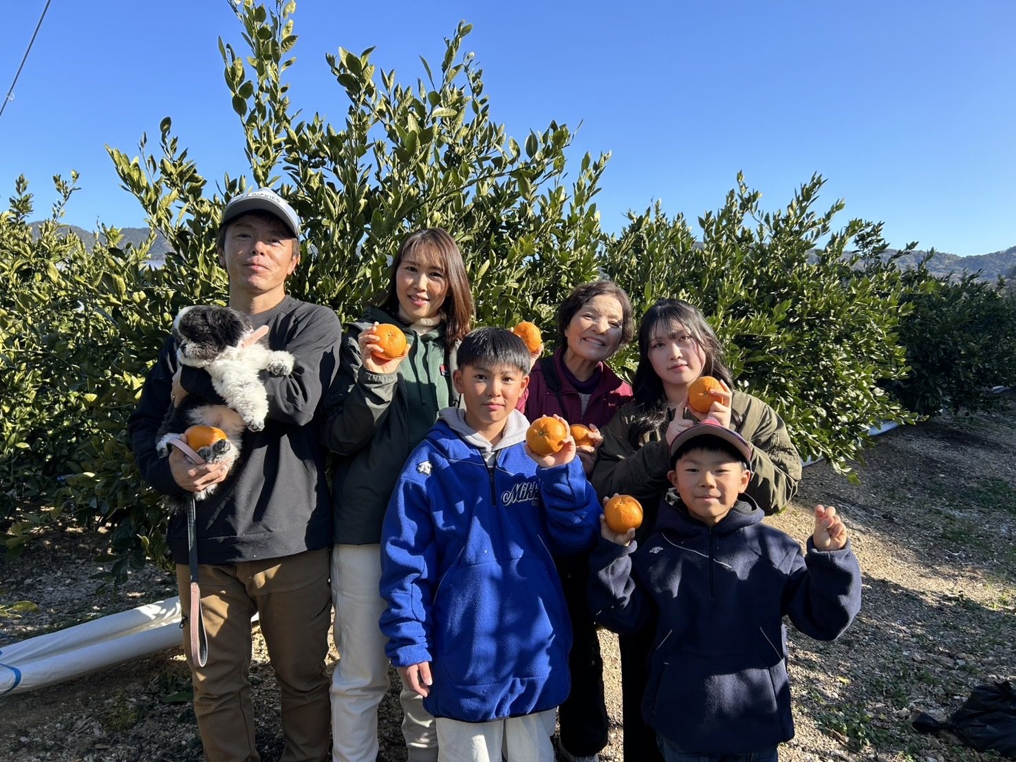三ヶ日みかん直販　あつみ農園