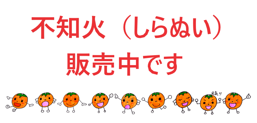 三ヶ日みかん直販　あつみ農園