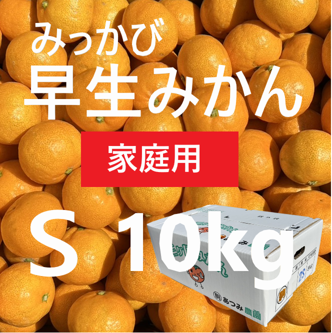 早生みかん家庭用 S 10kg