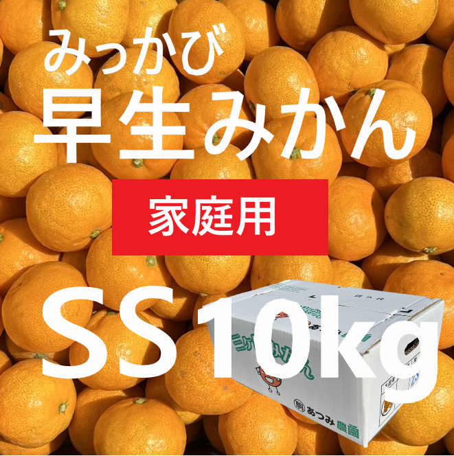 早生みかん家庭用 SS 10kg