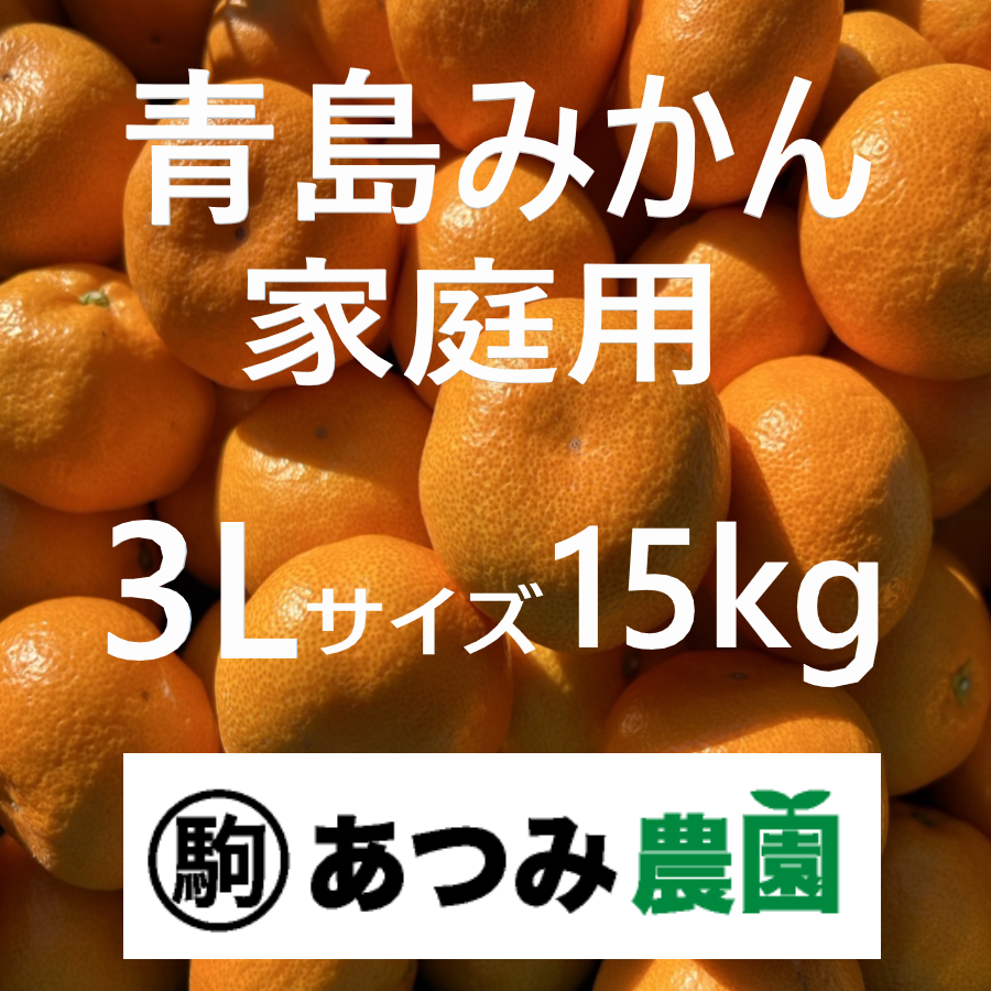 青島みかん 家庭用 ３Ｌ 15kg