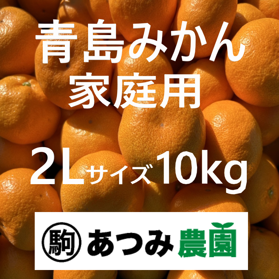 青島みかん 家庭用 2Ｌ 10kg