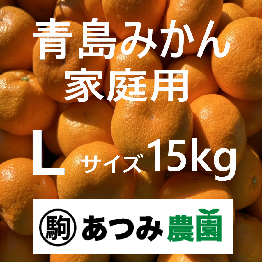 青島みかん 家庭用 Ｌ 15kg