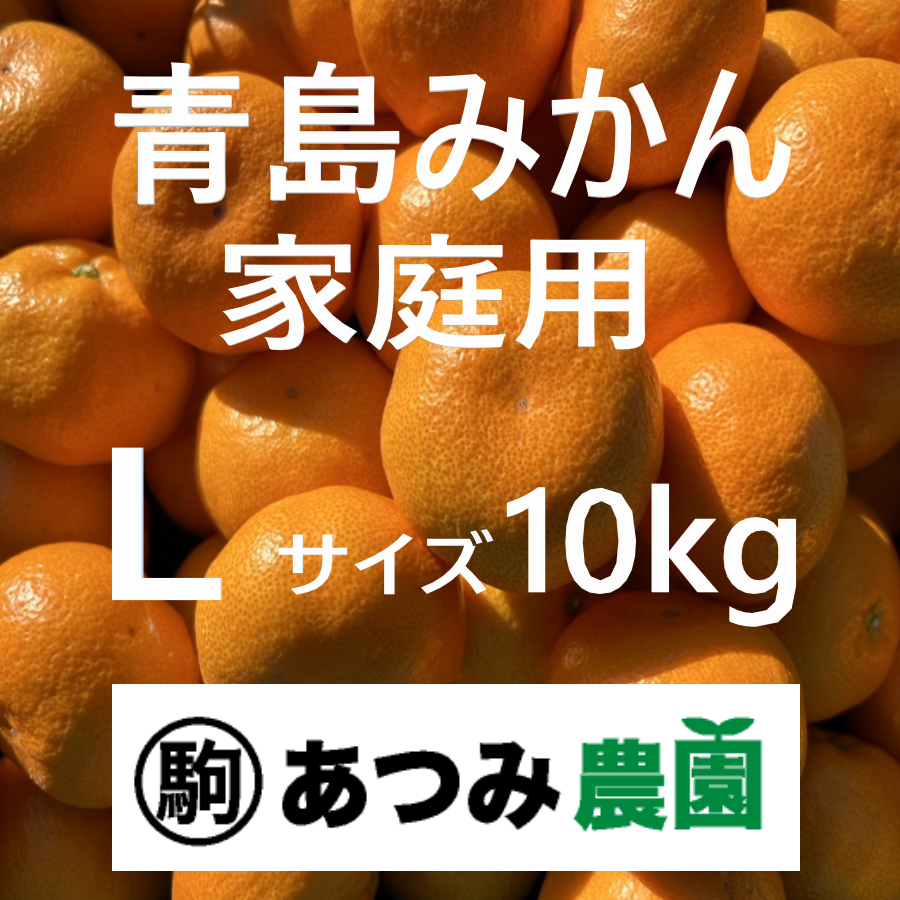 青島みかん 家庭用 Ｌ 10kg