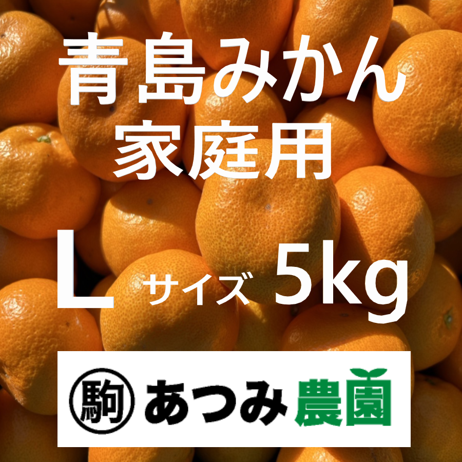 青島みかん 家庭用 Ｌ 5kg