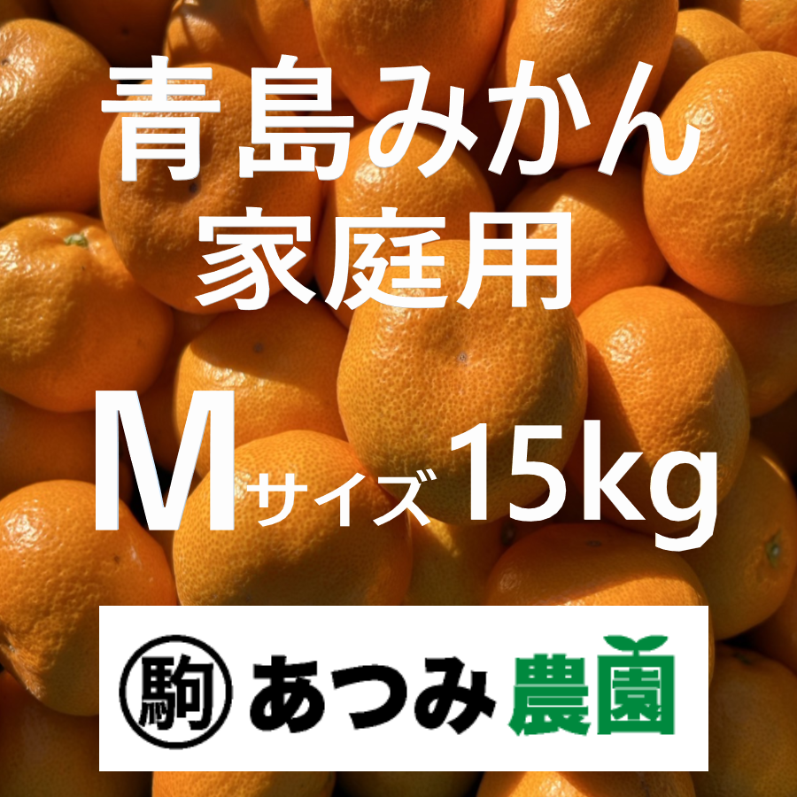 青島みかん 家庭用 M 15kg