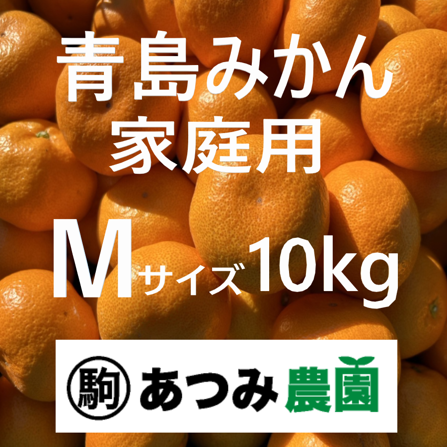 青島みかん 家庭用 M 10kg