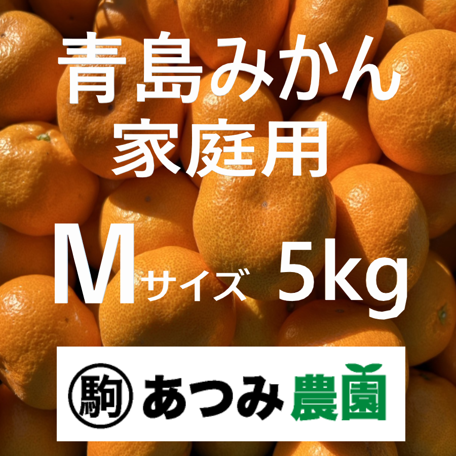 青島みかん 家庭用 M 5kg