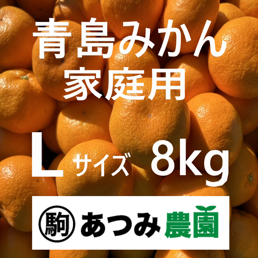 青島みかん 家庭用 L 8kg