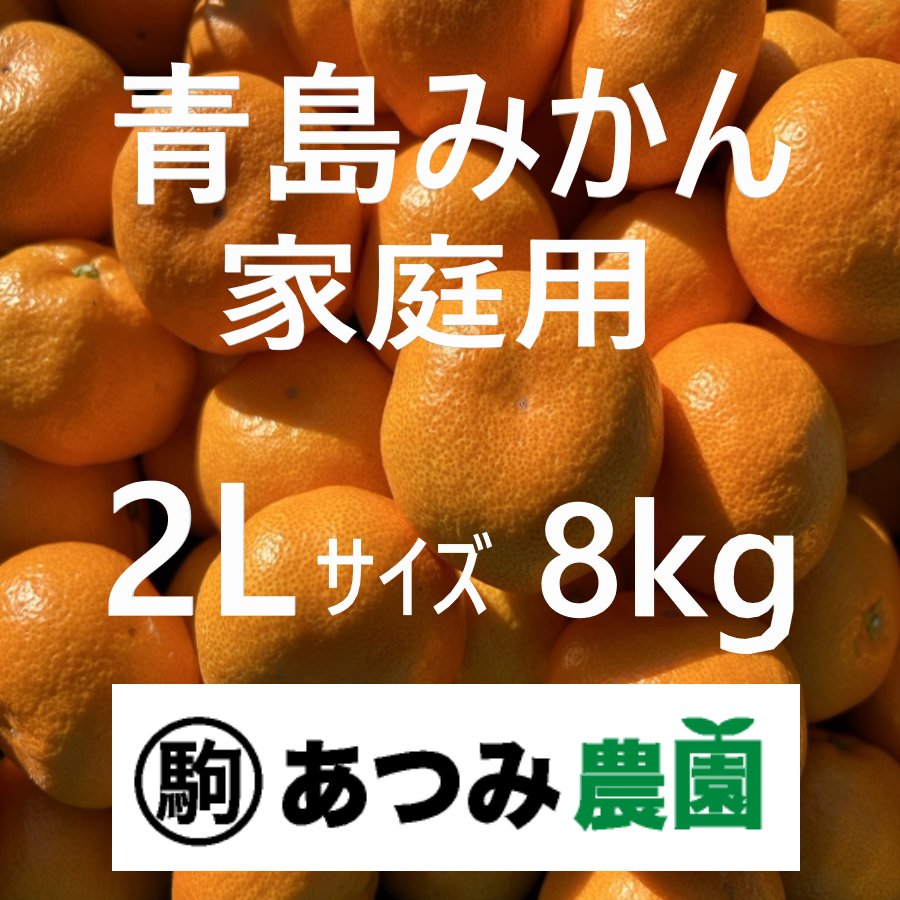 青島みかん 家庭用 2L 8kg