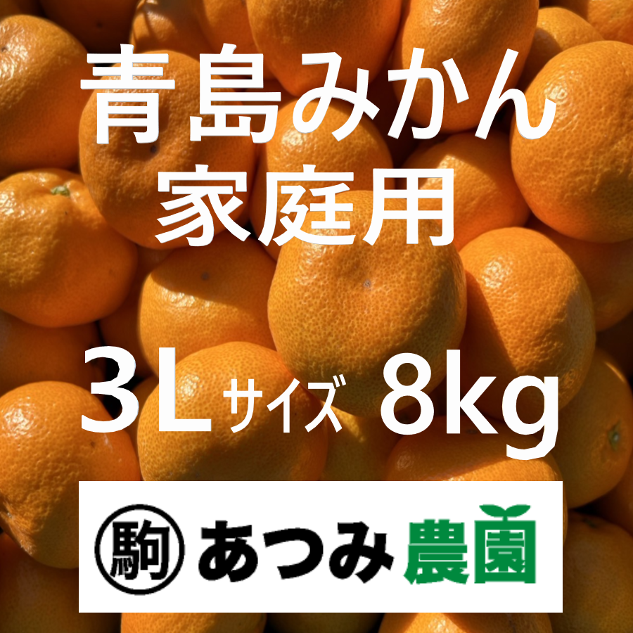 青島みかん 家庭用 3L 8kg