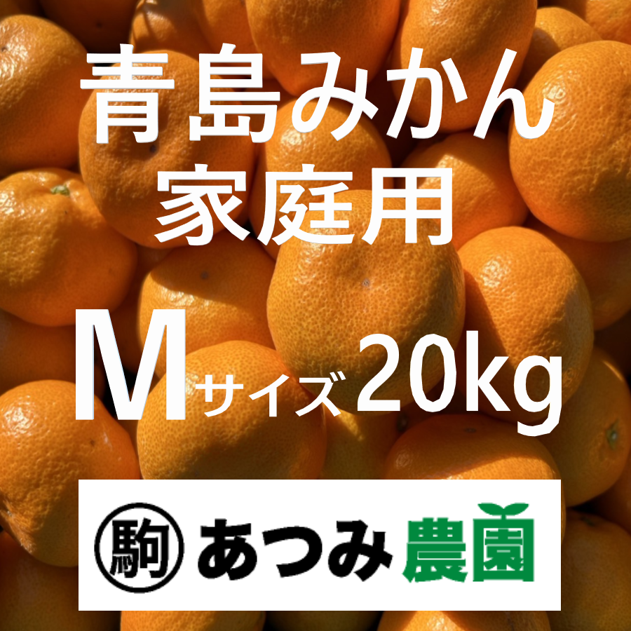 青島みかん 家庭用 M 20kg