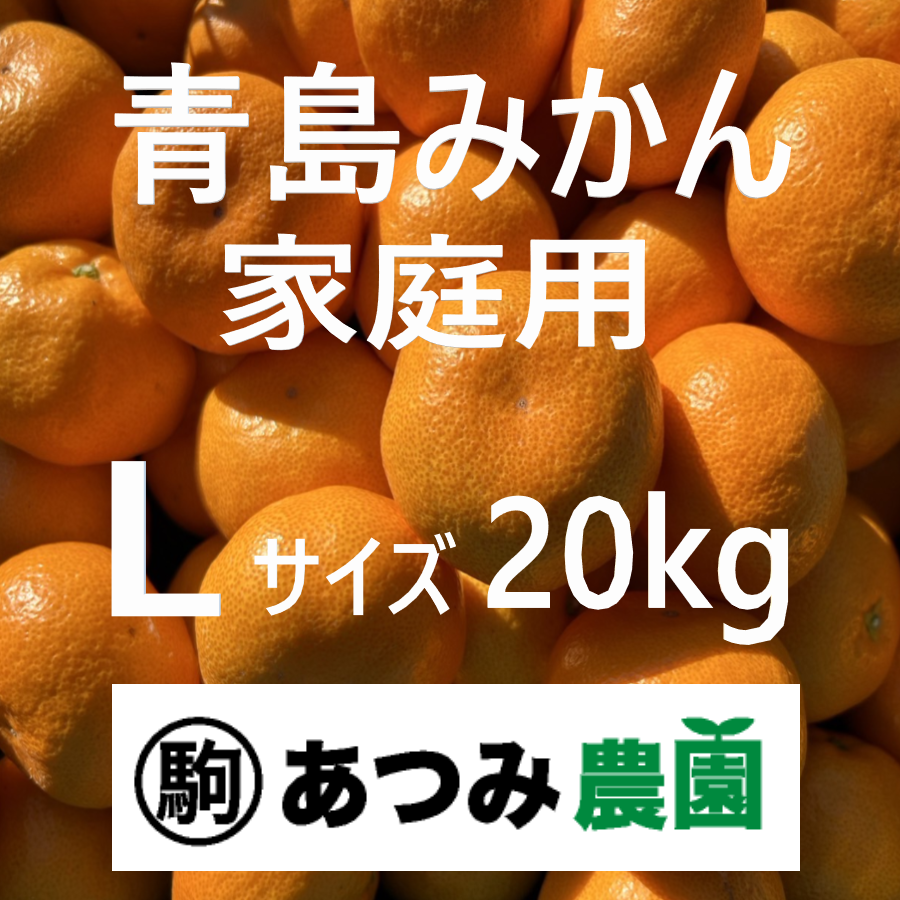 青島みかん 家庭用 L 20kg