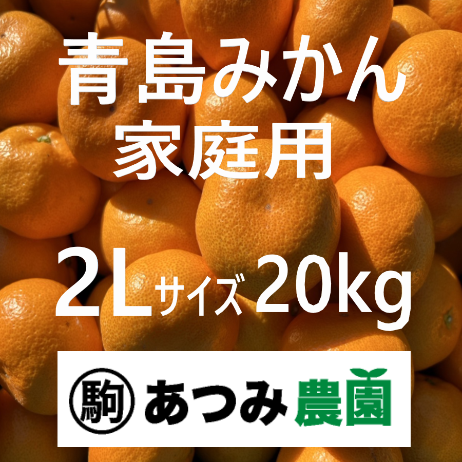 青島みかん 家庭用 2L 20kg