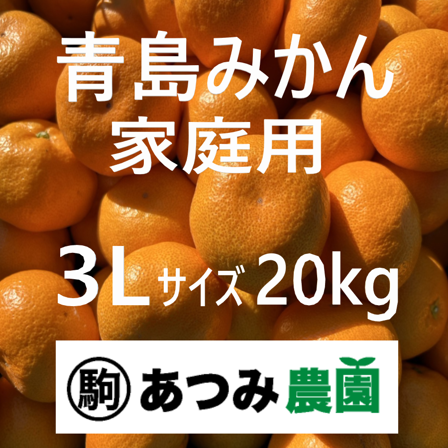 青島みかん 家庭用 3L 20kg