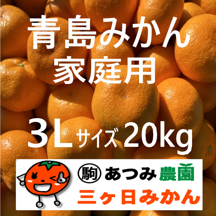 青島みかん家庭用 3Ｌ 20kg