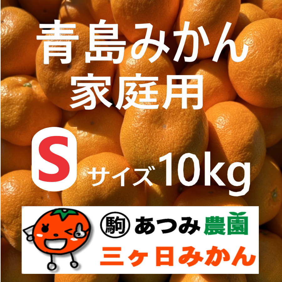 青島みかん家庭用 Ｓ 10kg
