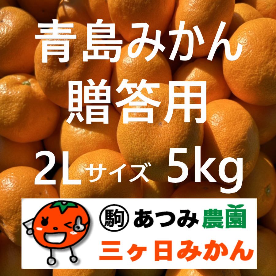 青島みかん贈答用 2Ｌ 5kg