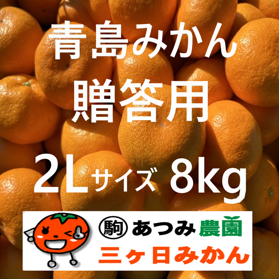 青島みかん贈答用 2Ｌ 8kg