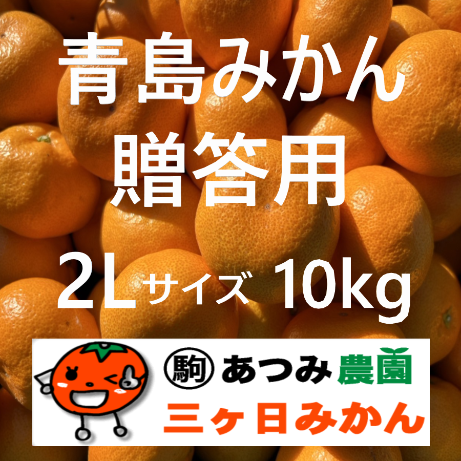 青島みかん贈答用 2Ｌ 10kg