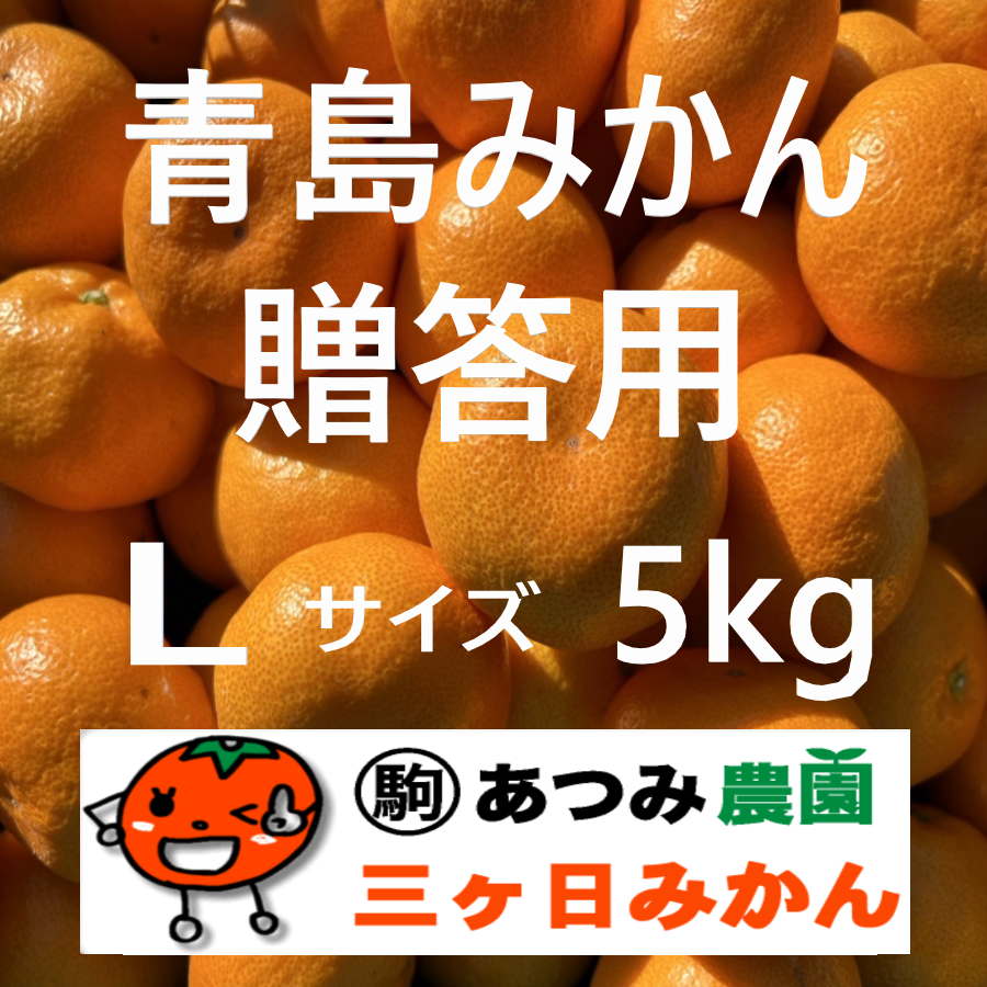 青島みかん贈答用 Ｌ 5kg