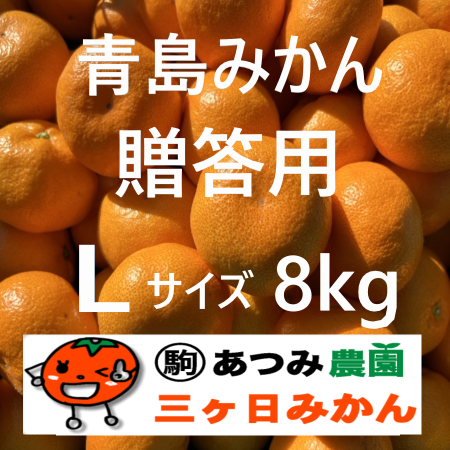 青島みかん贈答用 Ｌ 8kg