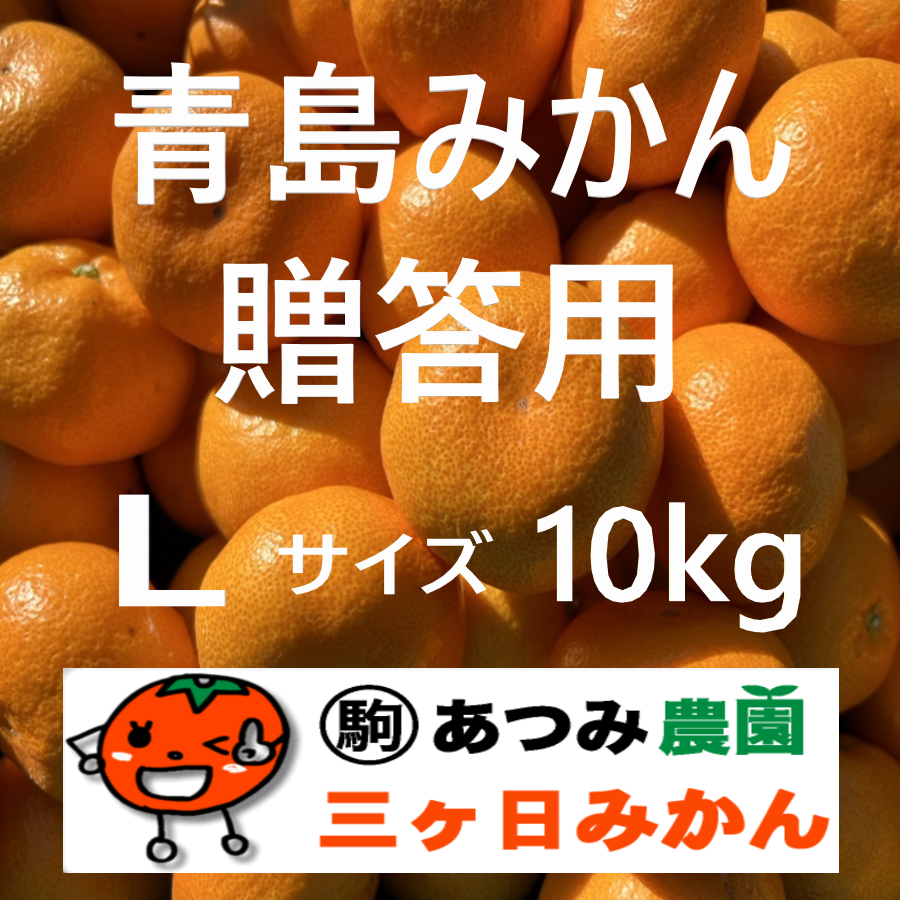 青島みかん贈答用 Ｌ 10kg