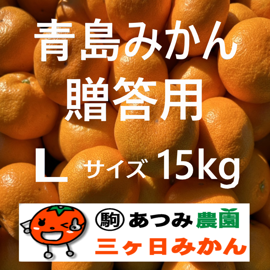青島みかん贈答用 Ｌ 15kg