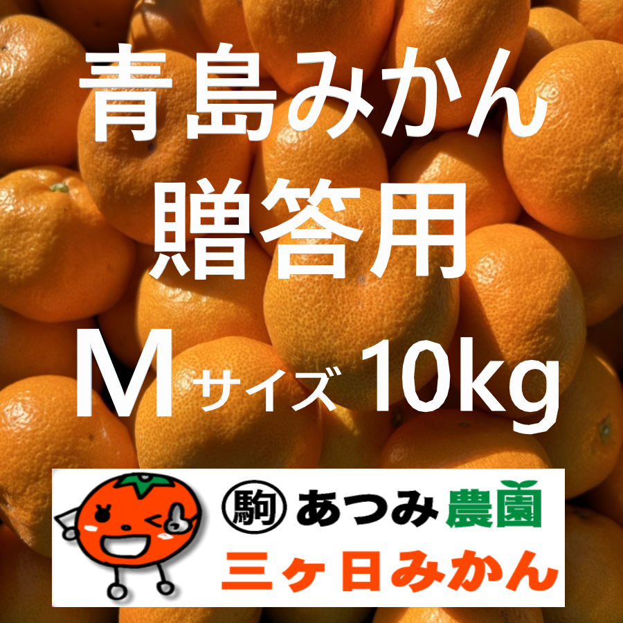 青島みかん贈答用 Ｍ 10kg